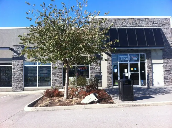 Vancouver East Veterinary Walk-In Clinic Company Image